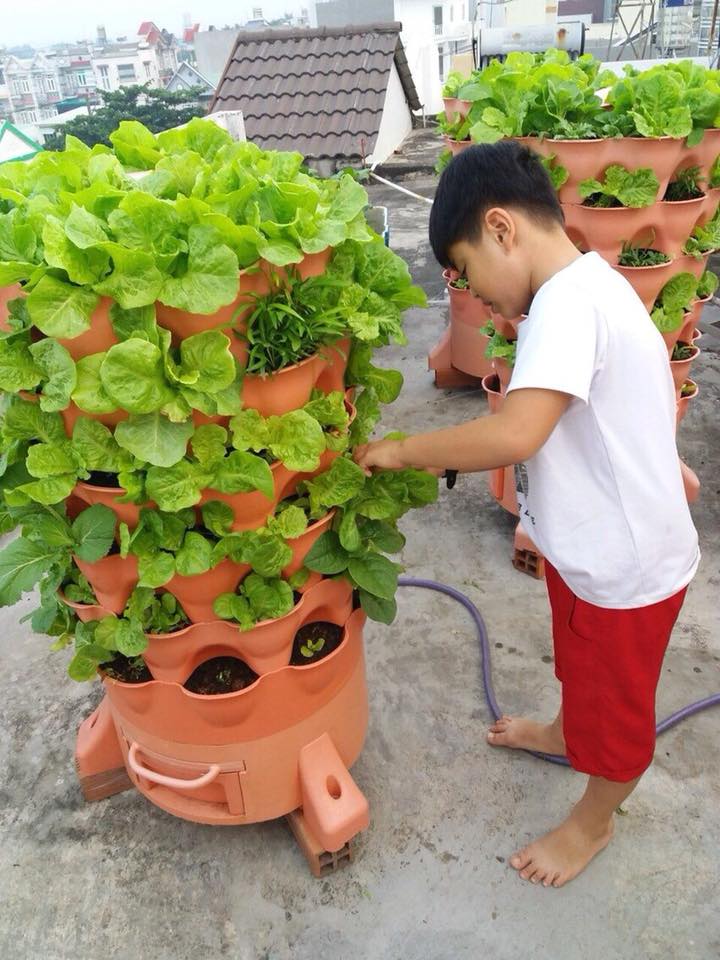 Tháp trồng rau