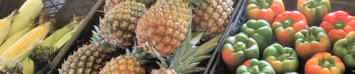 Banner home 2