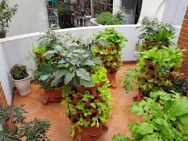 Mua Tháp trồng  rau sạch tại thành phố Hồ Chí Minh