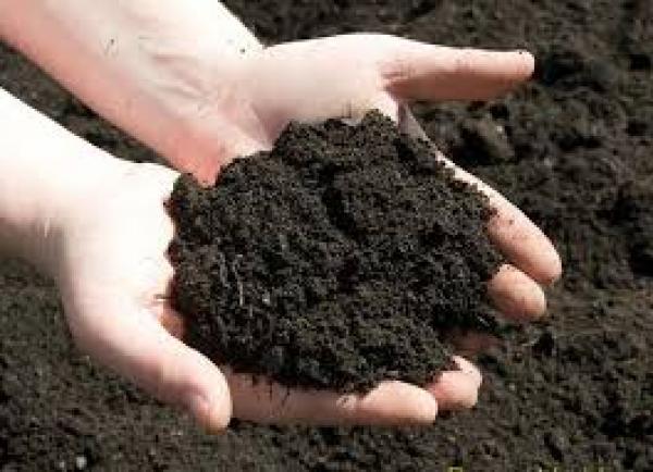 Cách trộn đất và phân tốt nhất cho trồng rau sân thượng