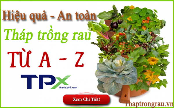 Dụng cụ trồng rau thông minh vạn người mê.