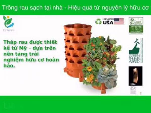 7 kỹ thuật giúp cho việc trồng rau tại nhà trên tháp rau hữu cơ Eco đạt hiệu quả tốt nhất.