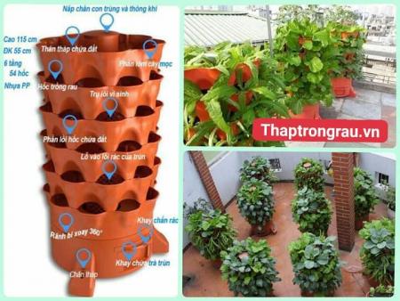 Tháp trồng rau hữu cơ Eco TP HCM