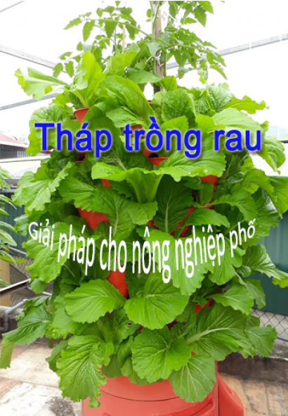 Cung cấp tháp trồng rau hữu cơ  Eco, dụng cụ trồng rau thông minh ở Cần Thơ