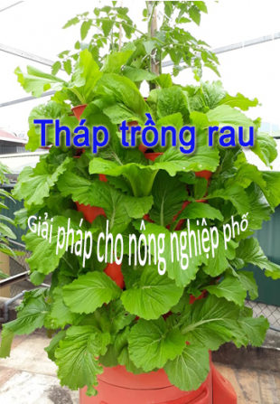 cung cấp tháp trồng rau hữu cơ Tại Cần Thơ