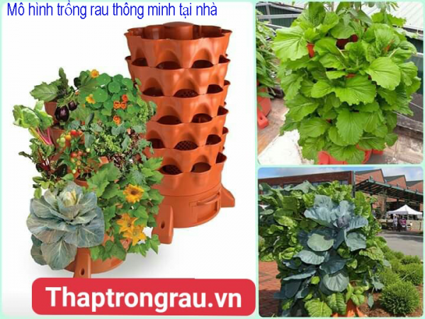 Địa chỉ Uy tín bán tháp trồng rau hữu cơ Eco Việt nam tại khu vực phía  nam