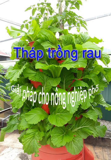 dụng cụ trồng rau thông minh